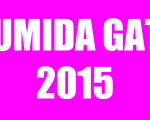 SUMIDA GATE 2015 (1)